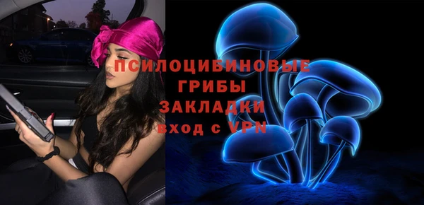 не бодяженный Михайлов