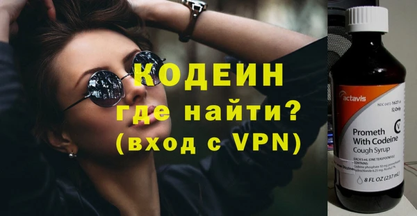 прущие грибы Надым