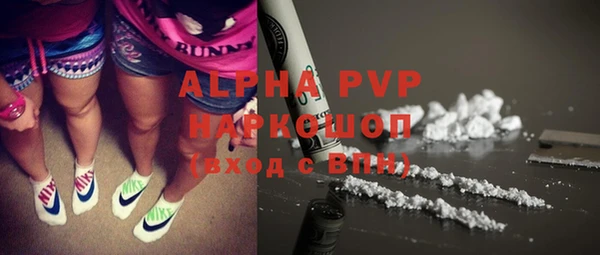 твердый Няндома