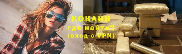 прущие грибы Надым