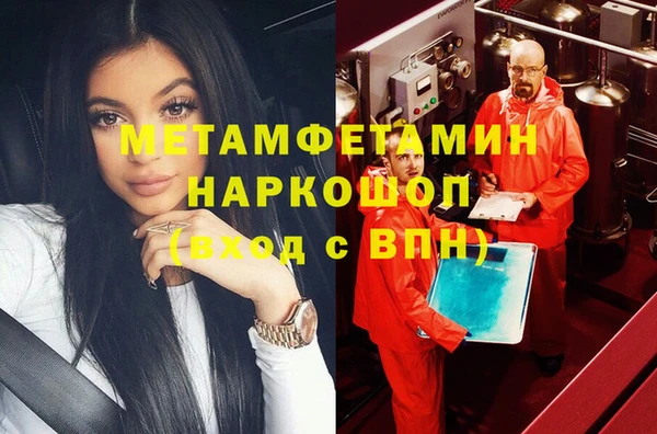 прущие грибы Надым