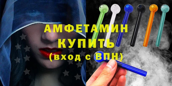 прущие грибы Надым