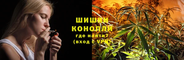 прущие грибы Надым
