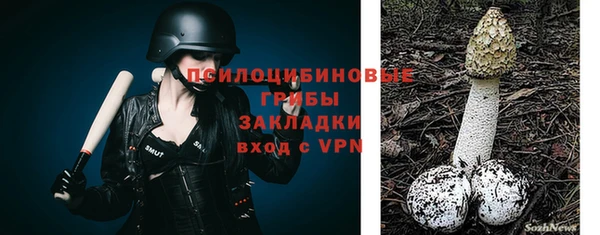 не бодяженный Михайлов