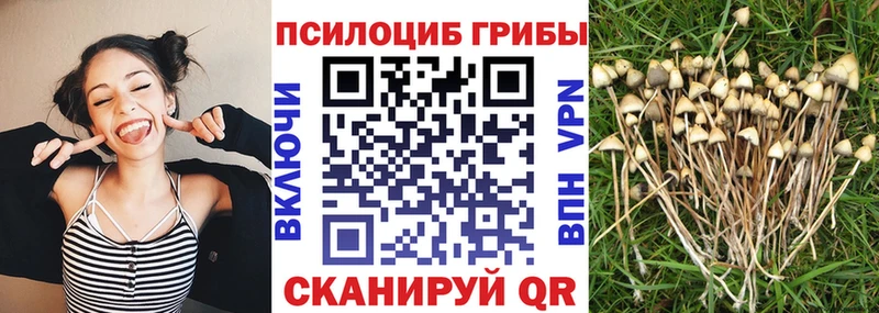 hydra как войти Ряжск Галлюциногенные грибы Magic Shrooms