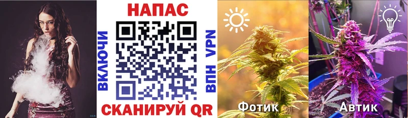 Каннабис планчик omg ССЫЛКА Ряжск